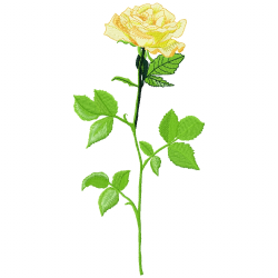 Flowers Embroidery Design 12